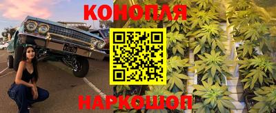 индика Кунгур