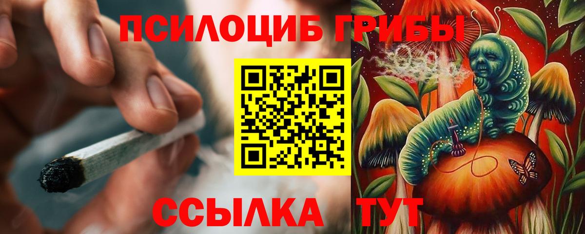 Каменка  дарнет шоп  Вход с VPN  Псилоцибиновые грибы мухоморы 